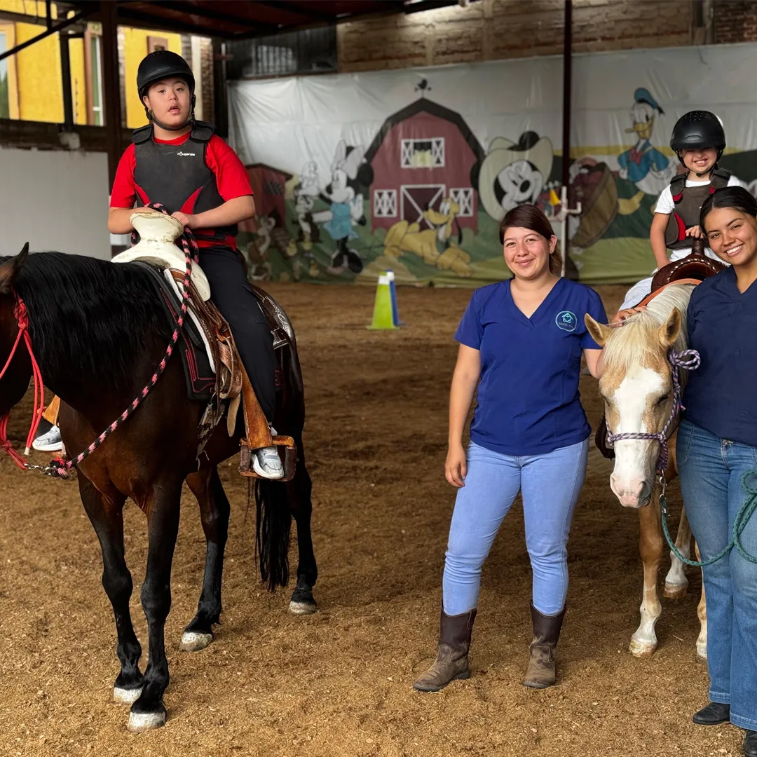 Toners Genericos y originales de brother